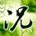 因电热水壶被拘13天
